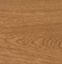 Dark Oak